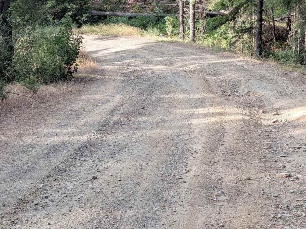 Kerlin Creek Road - FS 3N14  photo 6