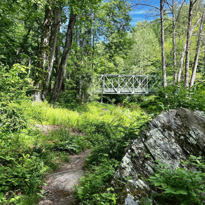 Near Prettyboy Dam Loop