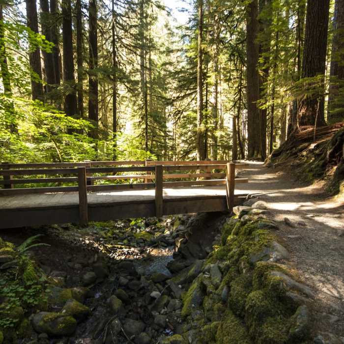 Near Sol Duc Falls