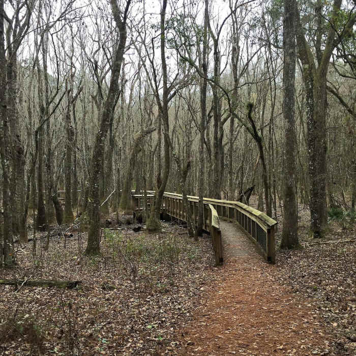 Near Leon Sinks Loop