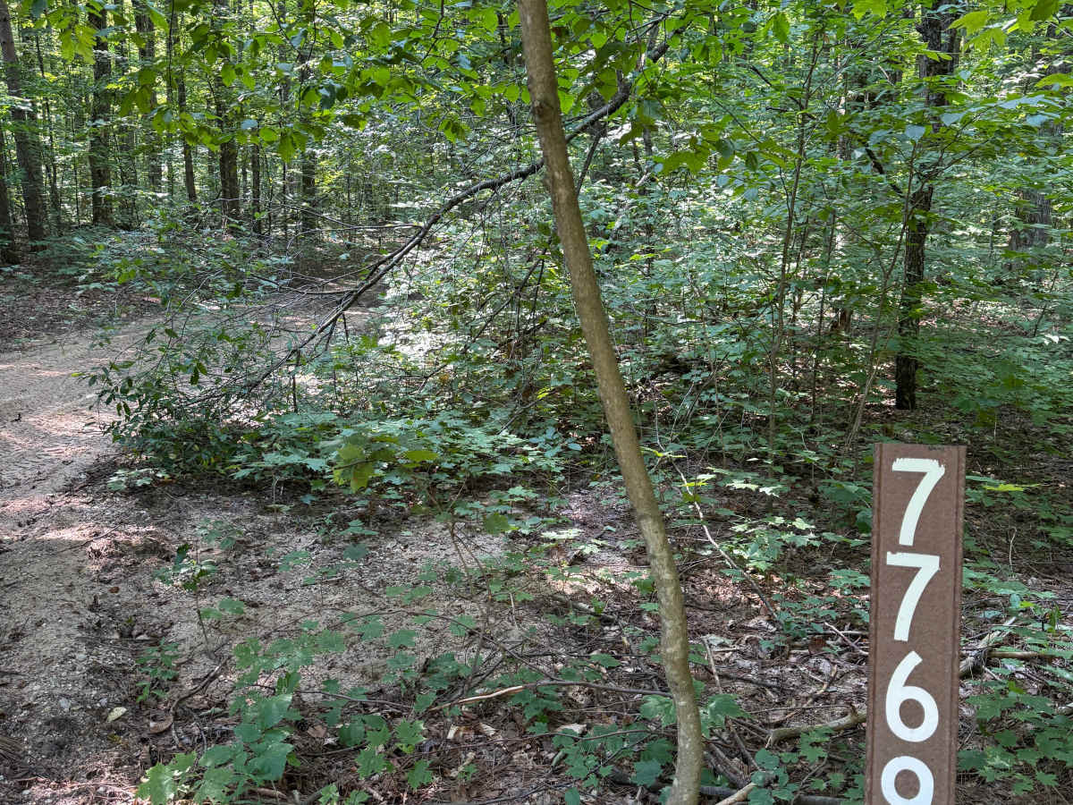 FS 7769 photo 2