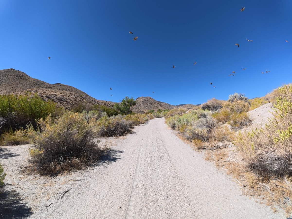 Cottonwood Creek Road photo 4