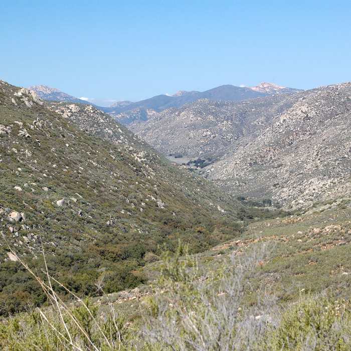 Near Campo to Cottonwood Creek (PCT)