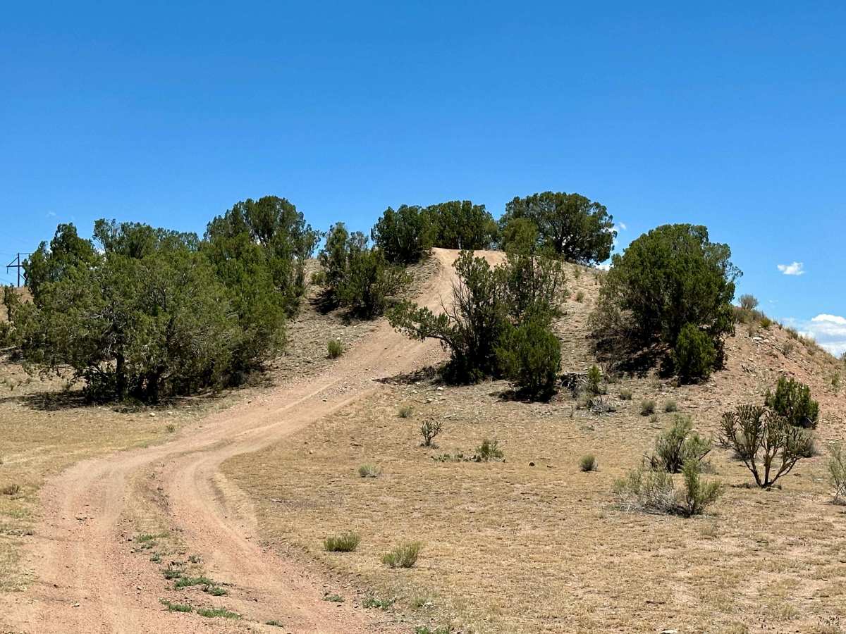 Hill Obstacle trail photo