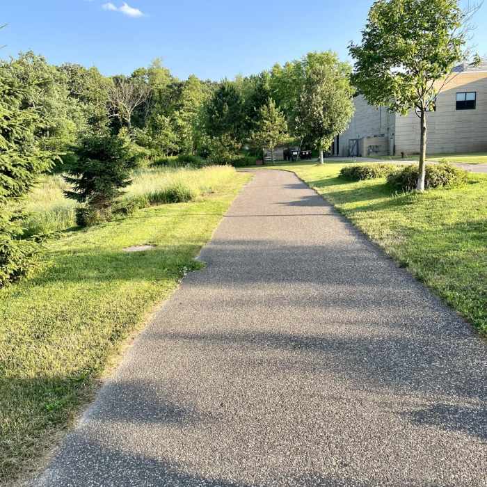 Near Marshan Lake Trail