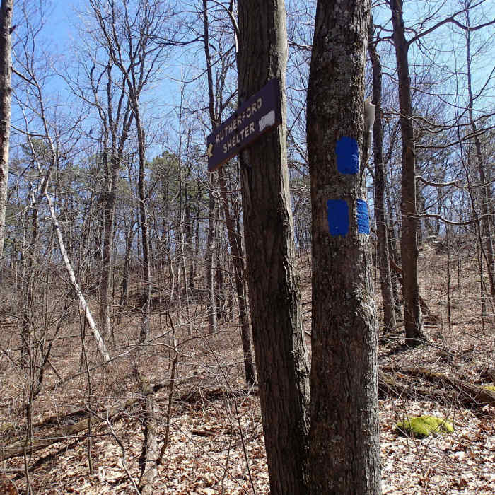 Trail to Rutherford shelter Near Appalachian - Iris Trail Loop