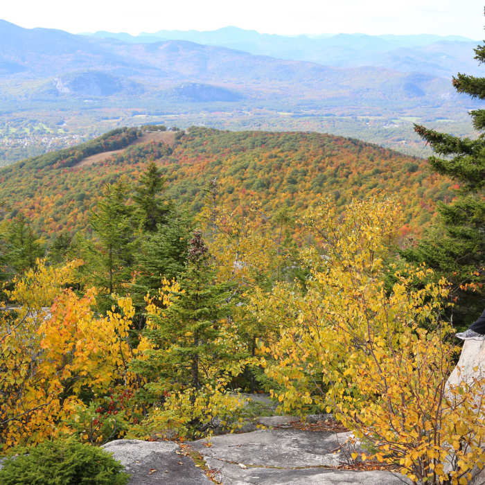 Near Black Cap Trail