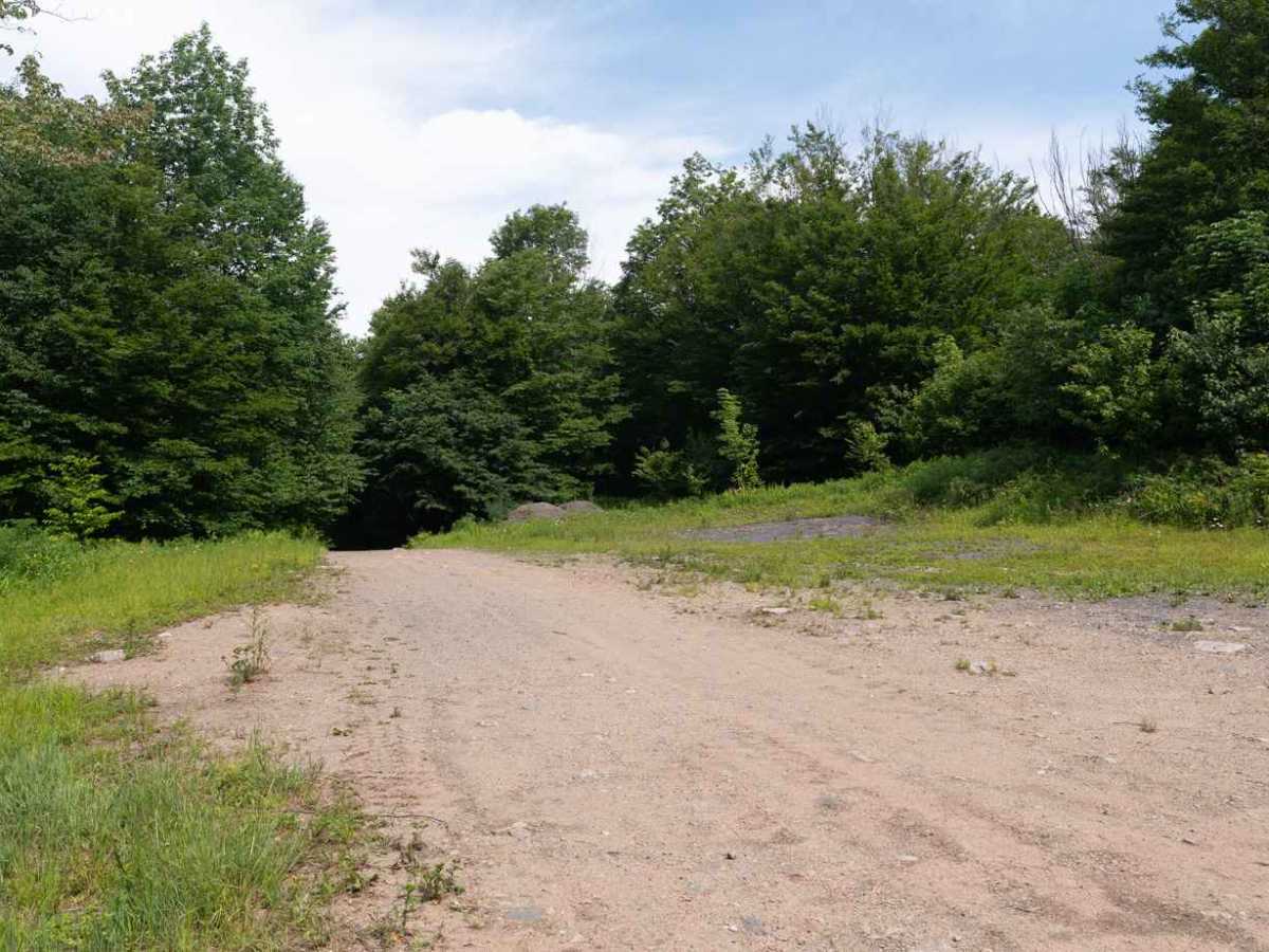 Deer Pond Road photo 5
