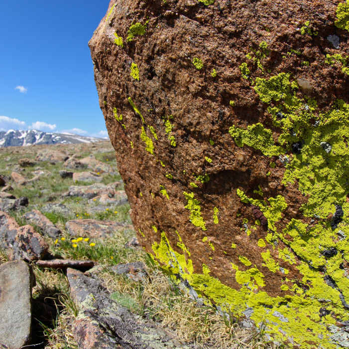 Near Ute Trail