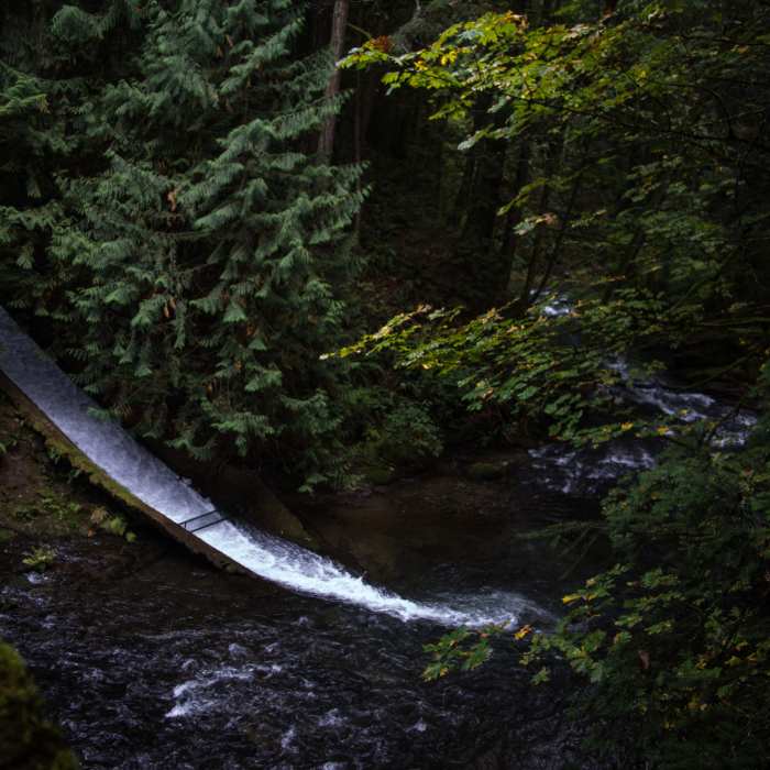 The build to Whatcom Falls. Near Whatcom Falls Trail