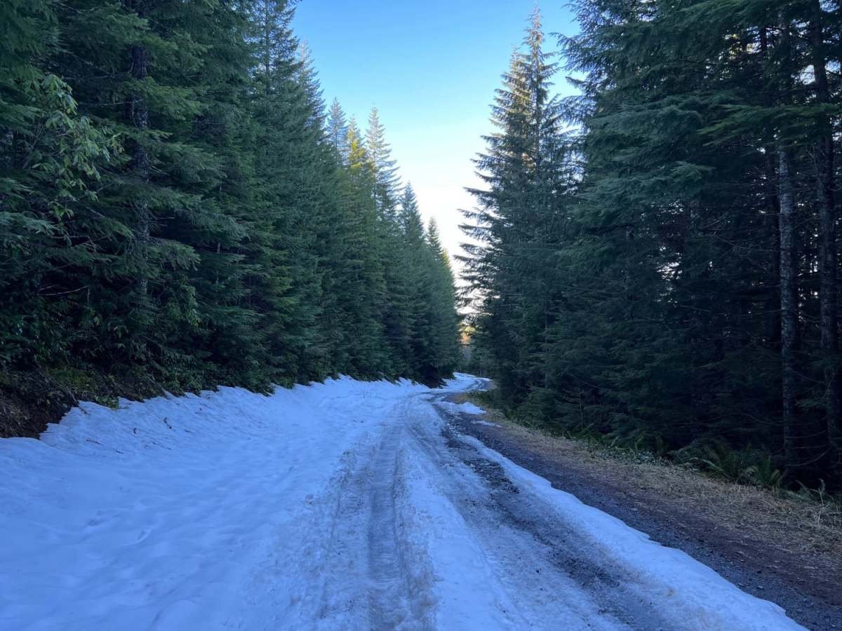 Green Mountain Road trail photo