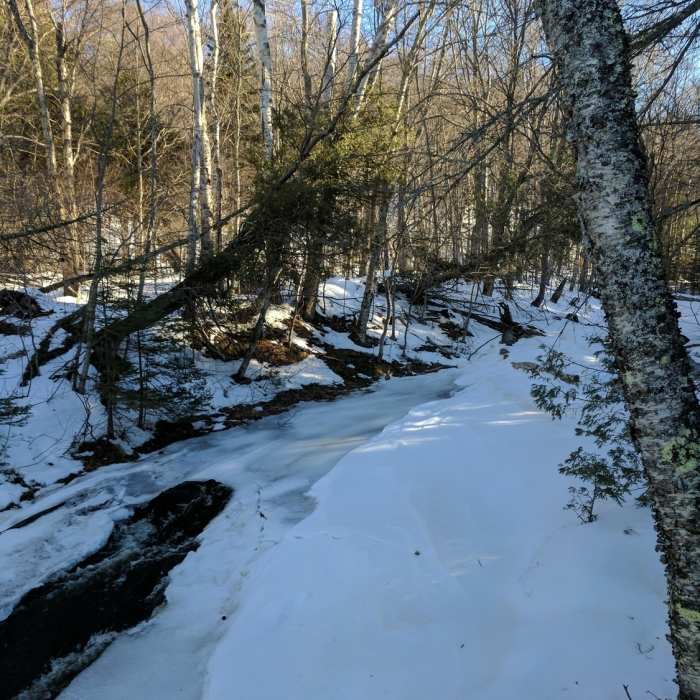 Near Chapel Rock Trail