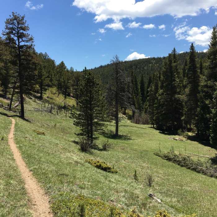 Near Fourmile Creek - Gold Hill Connection