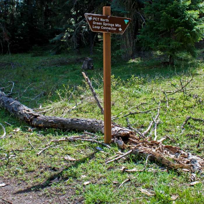 Near Green Springs Loop