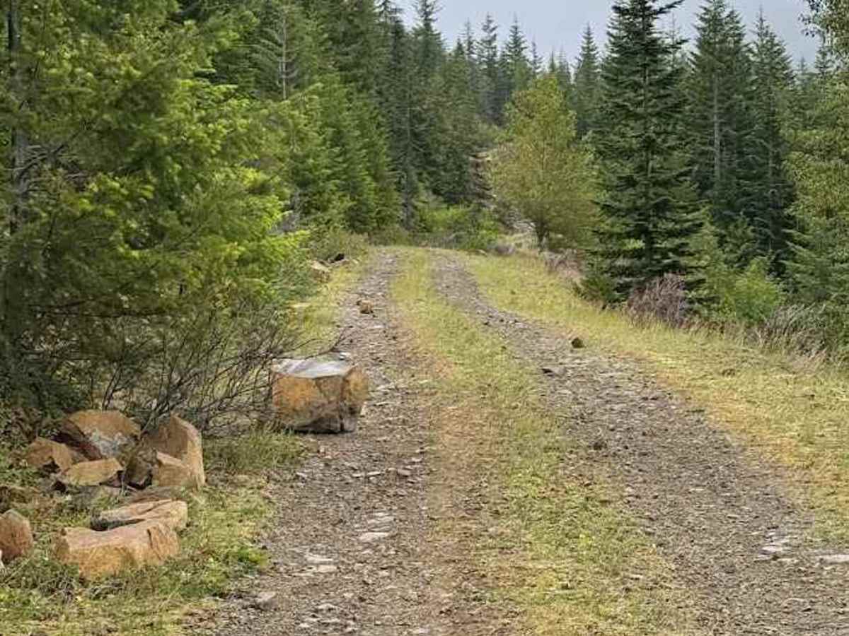 Intake Creek - FS 5220 photo 4