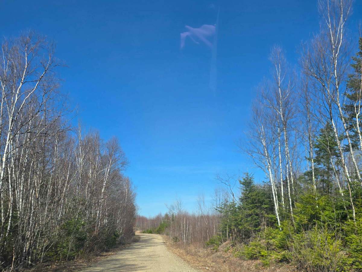 Campbell Brook Road  photo 2