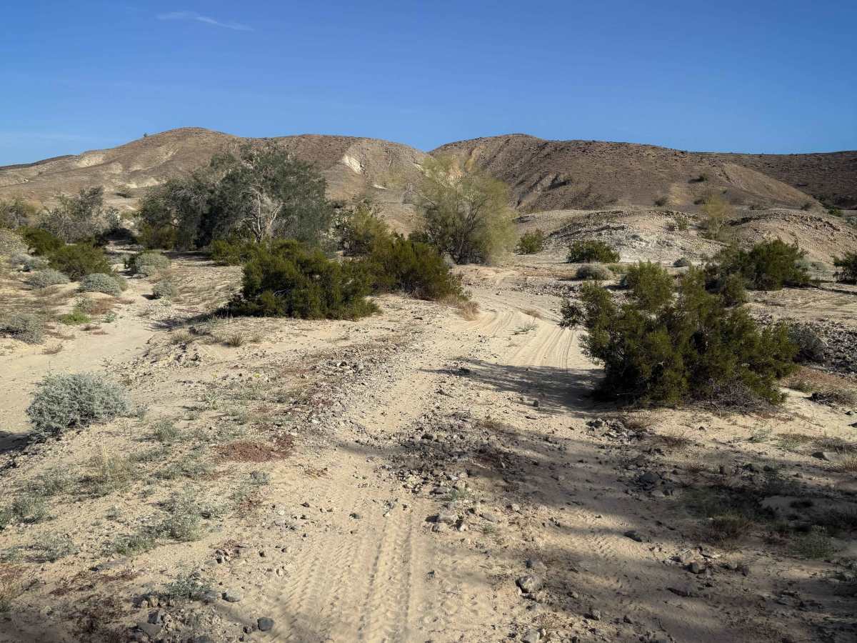Wellton Wash  photo 3