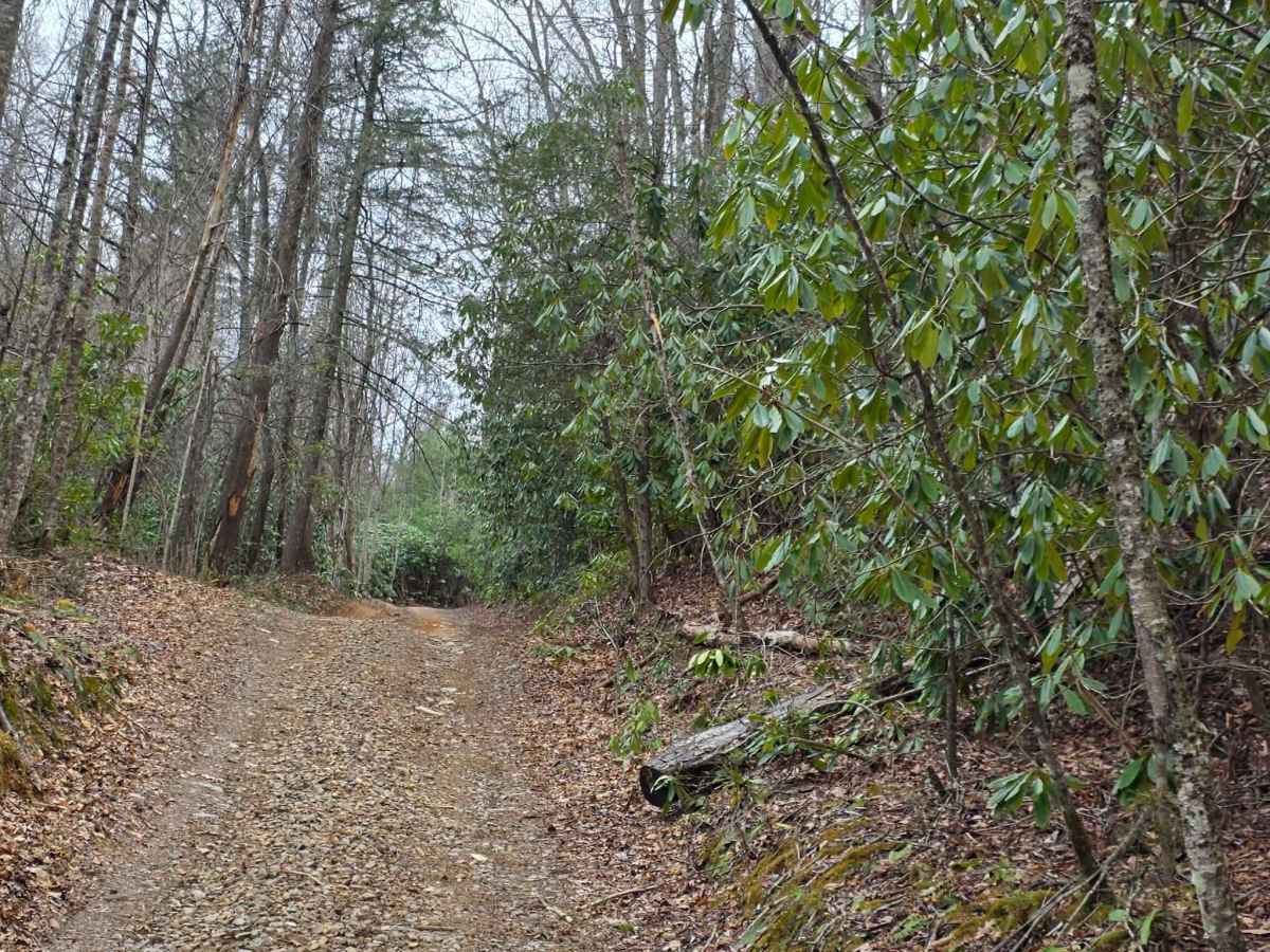 White Oak Flats photo 5
