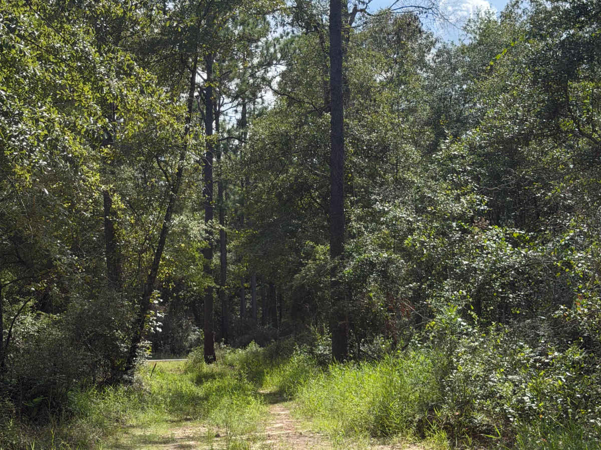 Blackwater River R72 photo 5