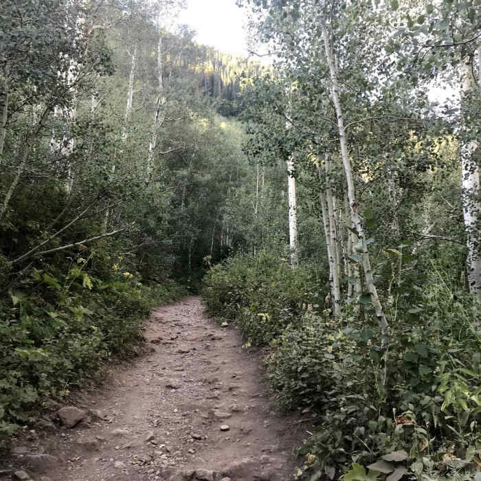 Near White Pine Lake Trail