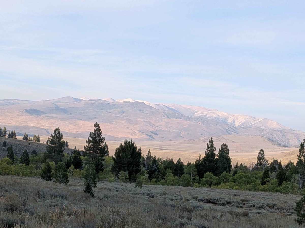 Cow Camp Creek Road photo 6