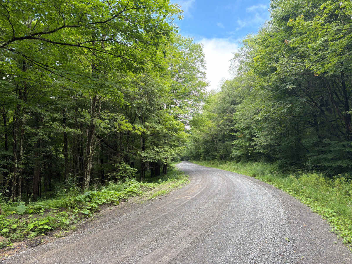 Brier Knob Road photo 6