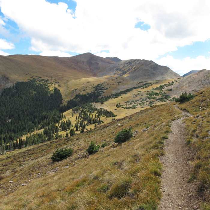 Near Wheeler Peak Trail #90