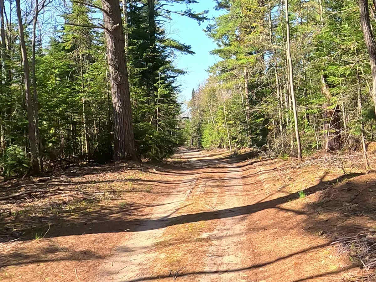 North Beaver Road - East trail photo