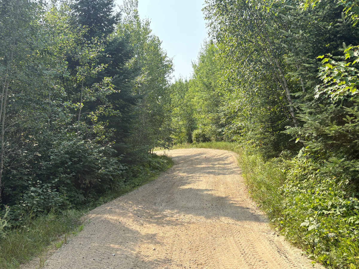 Forest Road 0402 photo 3