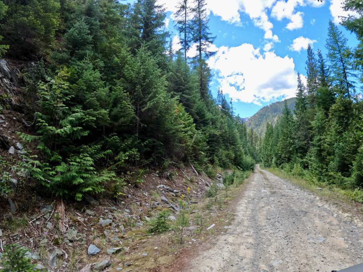 Newman Ridge Road (1185) - Canyon Creek Road (3816) photo 5