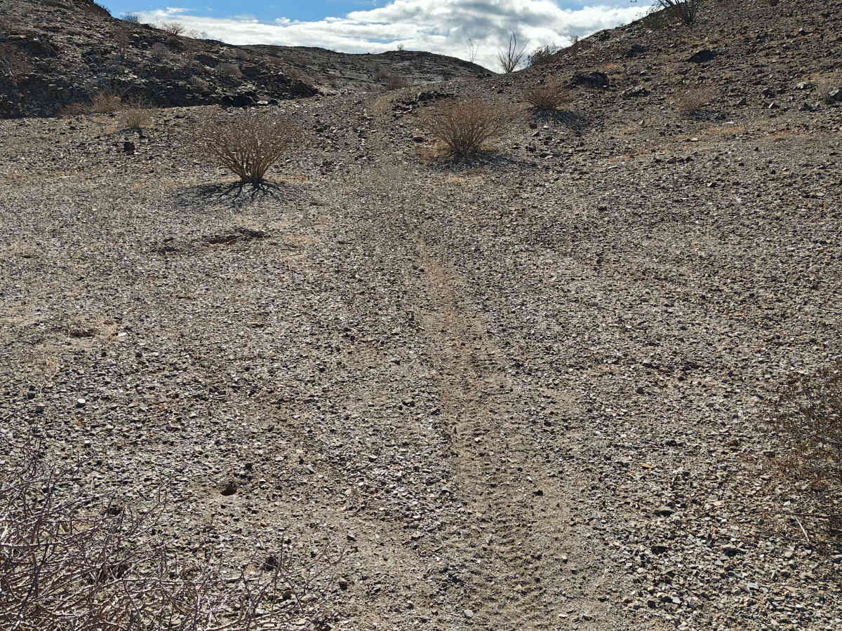 La Gringa Fun Loop - Single Track photo 6