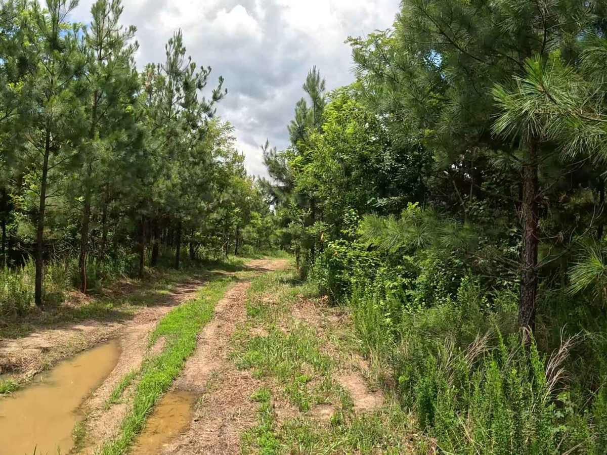 W4C trail photo