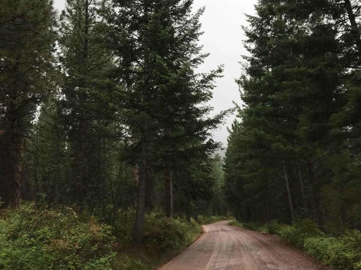 Larch Camp Road photo 3