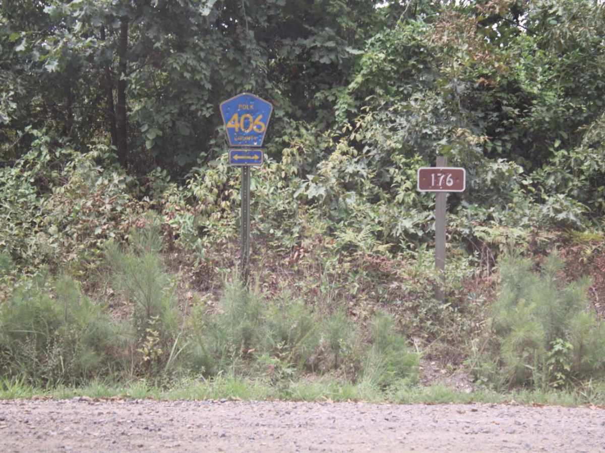 Polk Road 34 to Camping trail photo