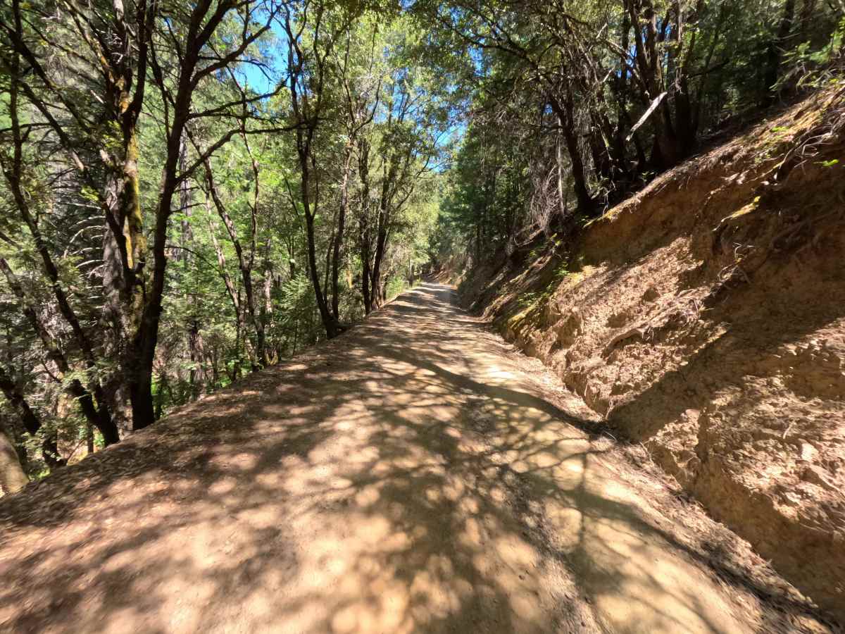 Saddleback Road - CR 509 photo 3