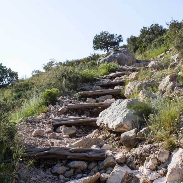 Near Guadalupe Peak Trail Near Guadalupe Peak Trail