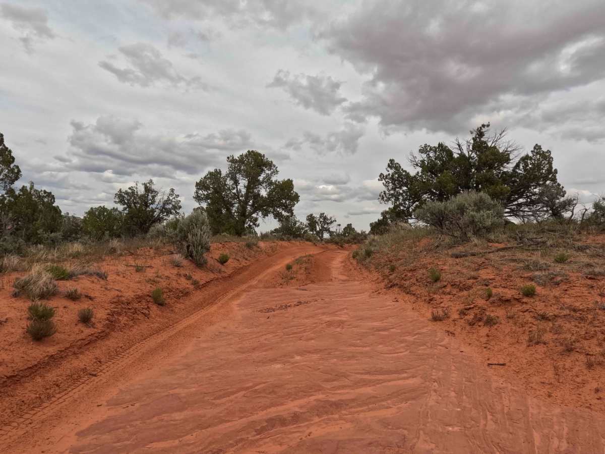 BLM 63 trail photo