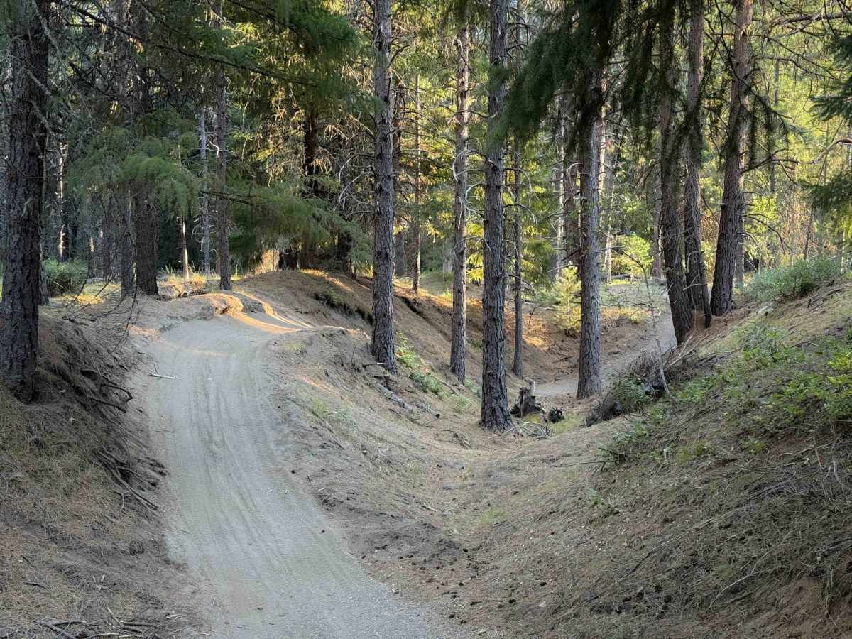 Motocross Track    photo 2