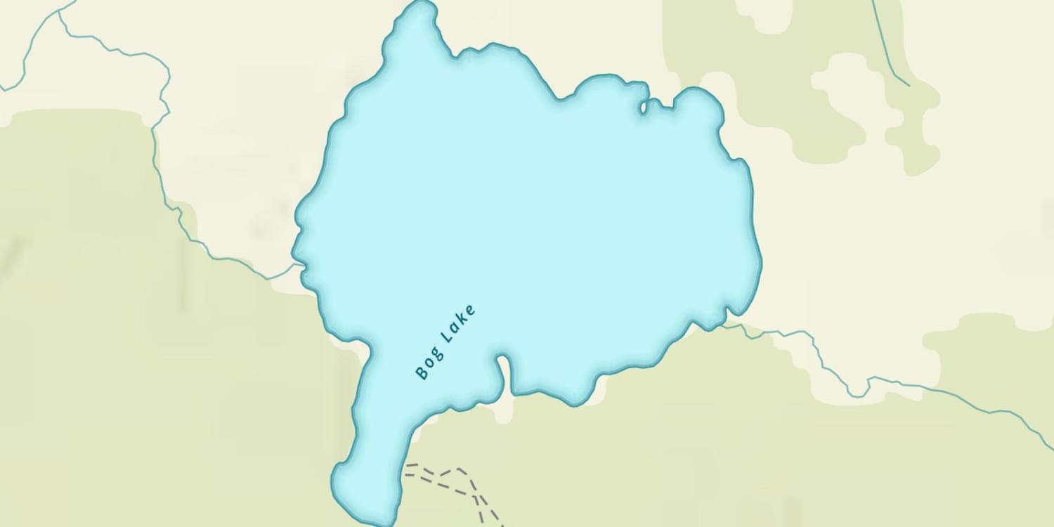 Bog Lake