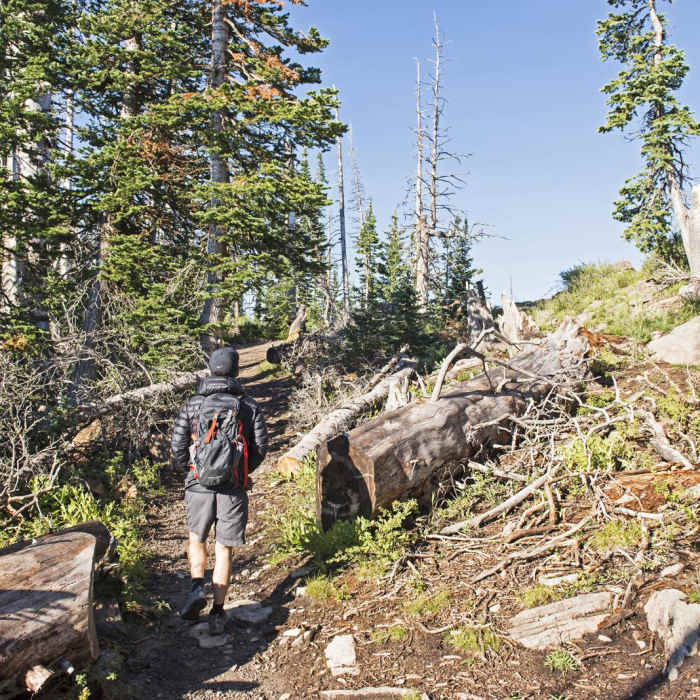 Near Alpine Pond Loop