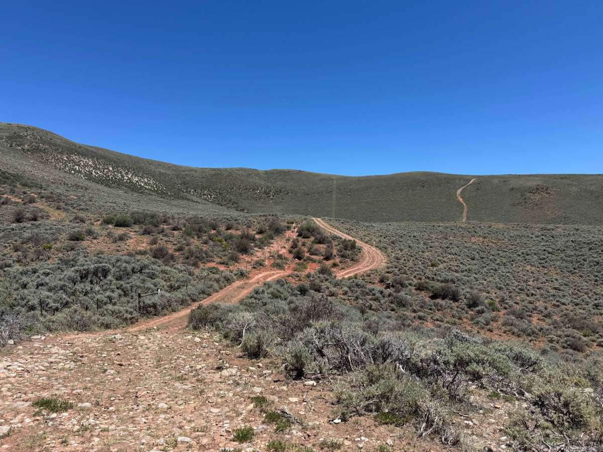 BLM 8485B trail photo
