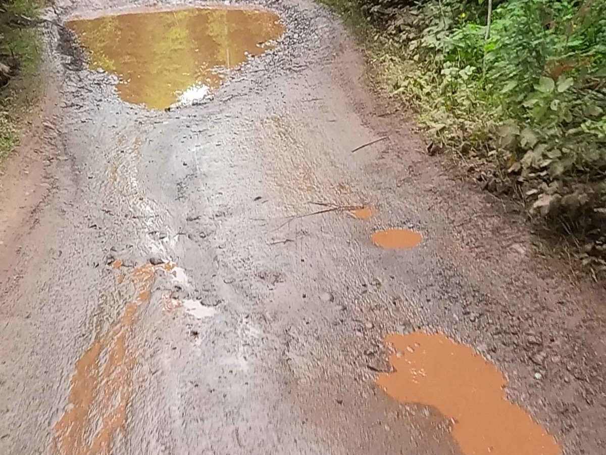 ST3 - ORV Route BD photo 4