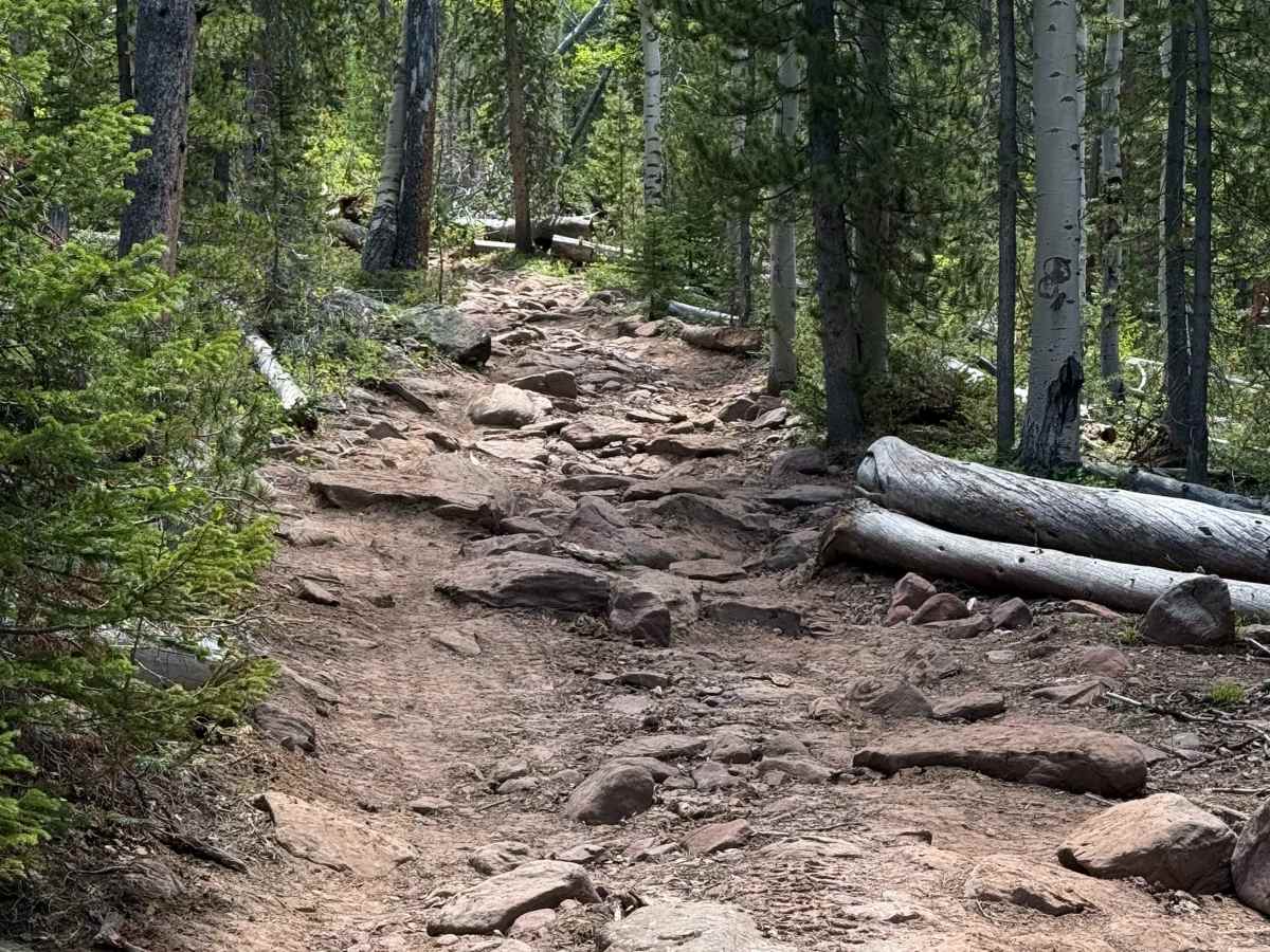 Anderson Creek trail photo