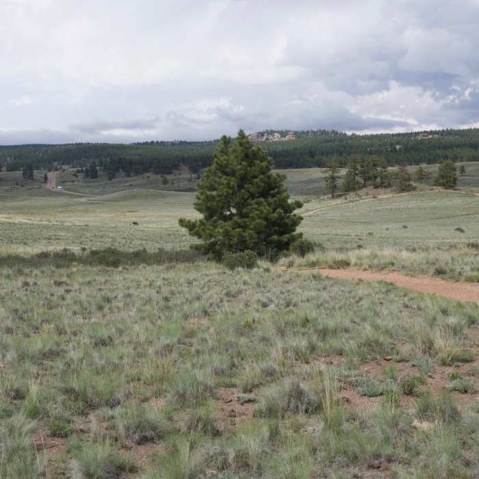 Near Scudder Pit Trail