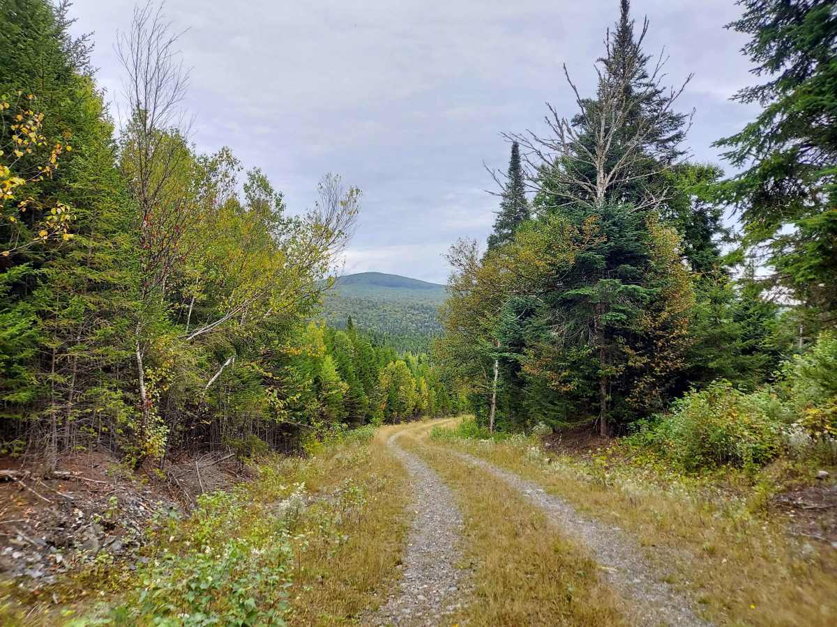 Graham Brook Trail trail photo