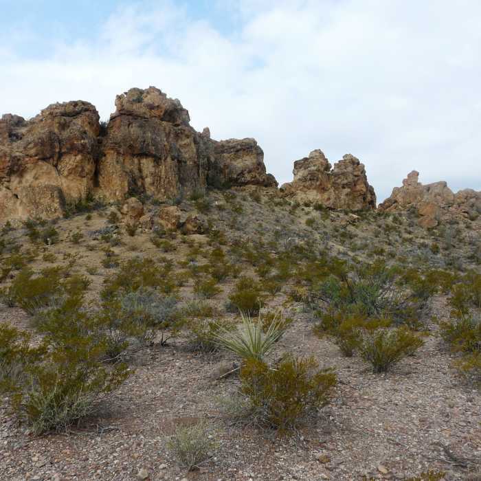 Near Chimneys Trail