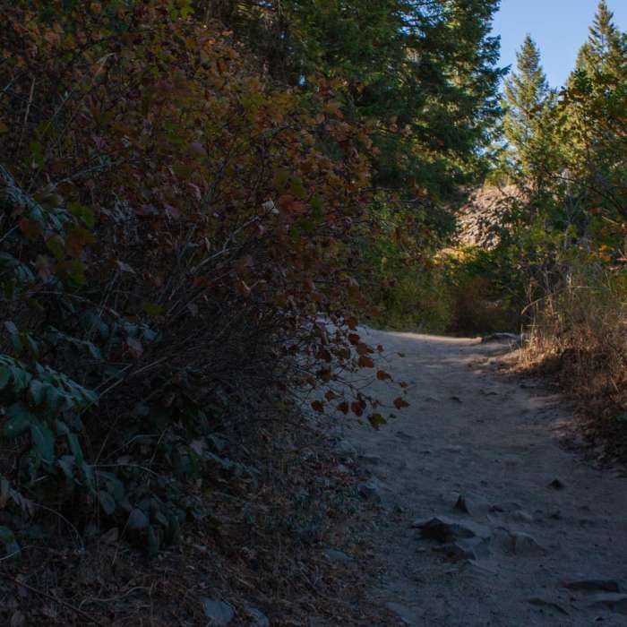 Near Bowl and Pitcher Loop Trail