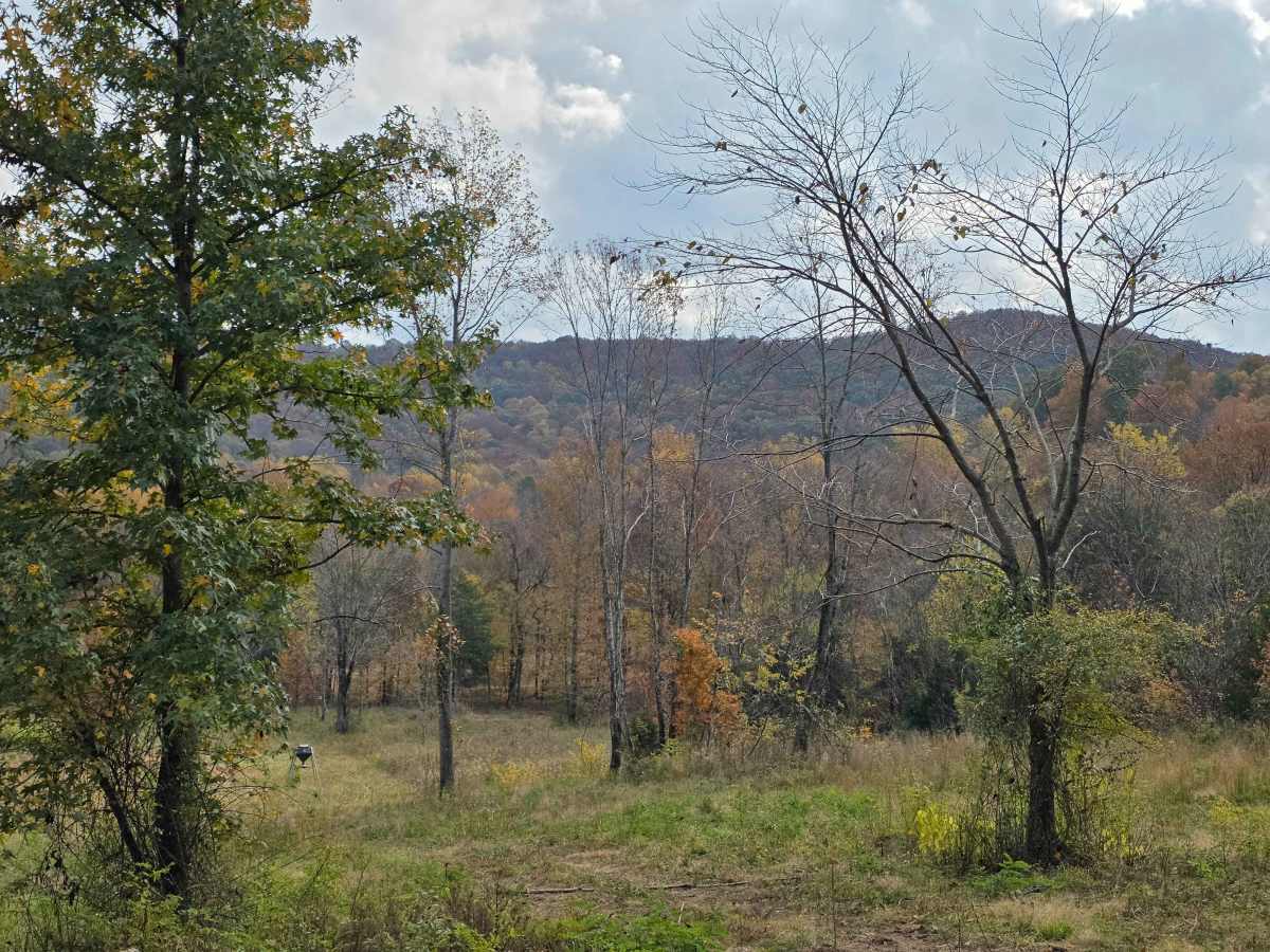 Field Loop photo 6