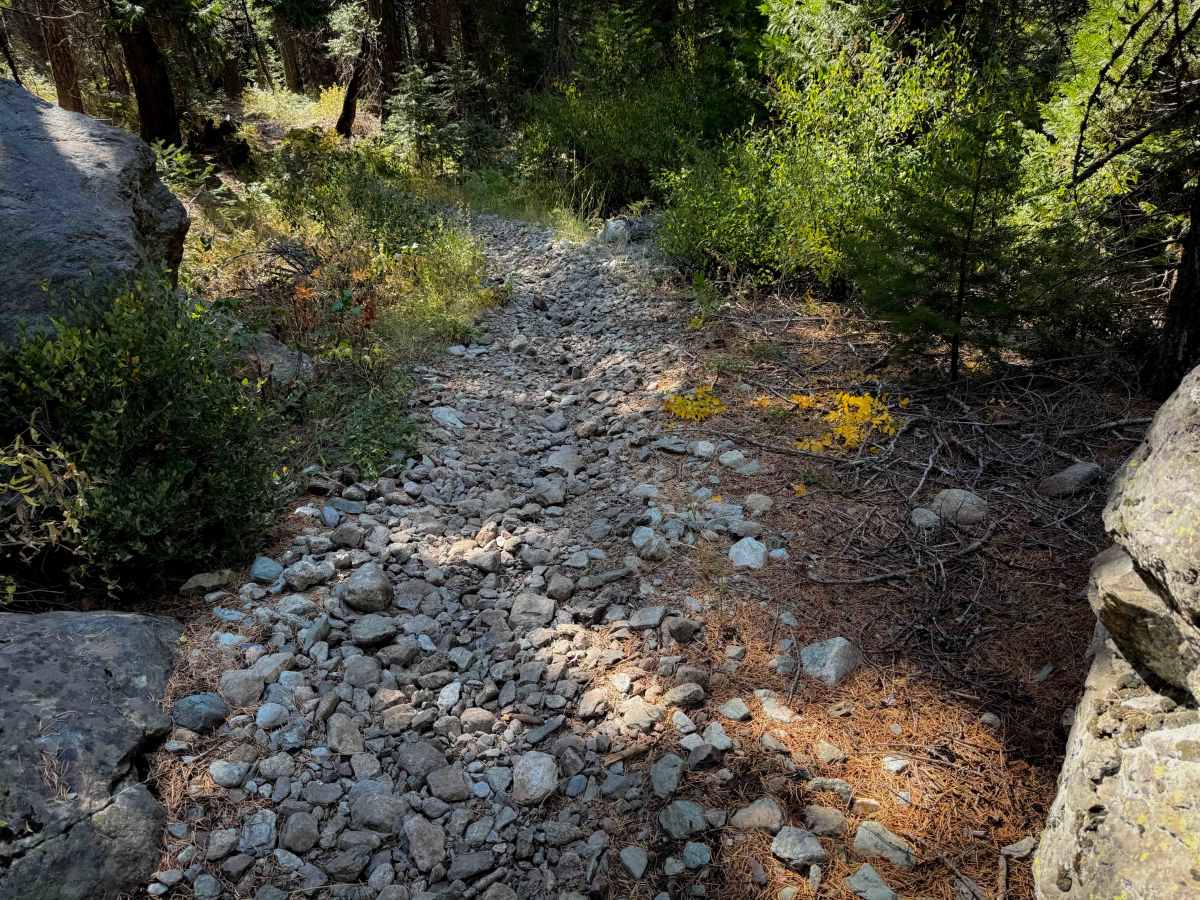 Pauley Creek  photo 4