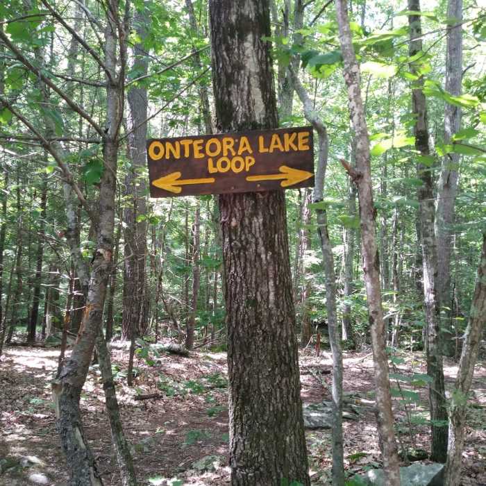 Near All Trails Loop